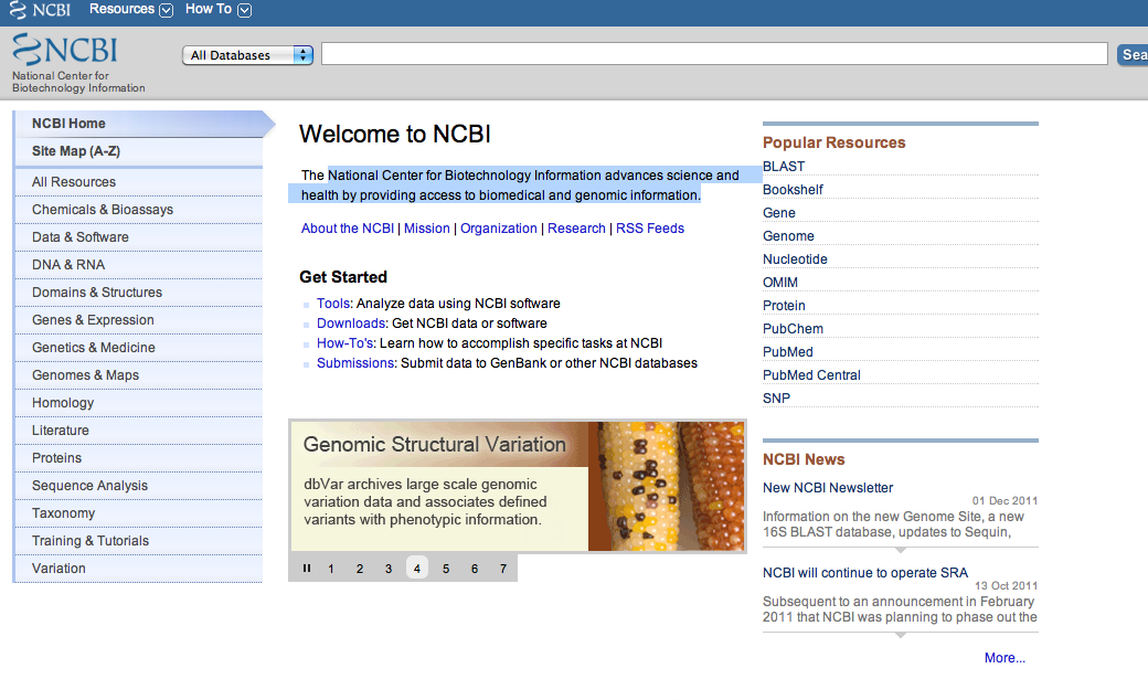 NCBI 홈페이지